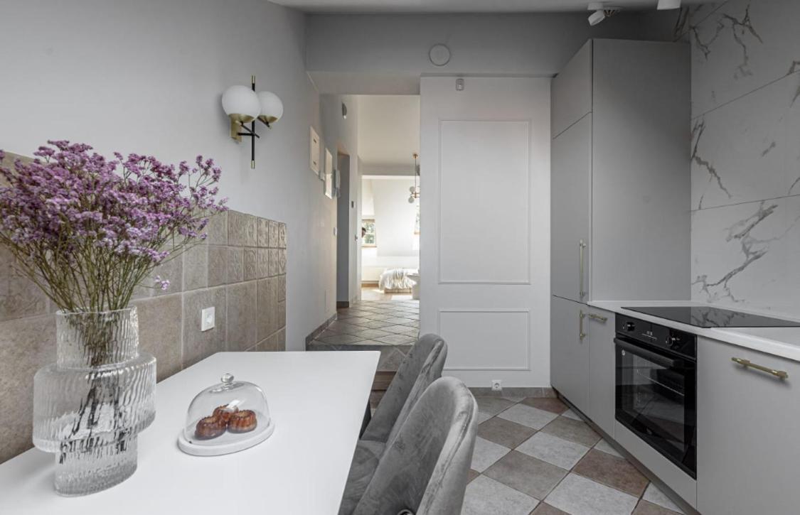 Traku Street Apartment In Вилнюс Екстериор снимка